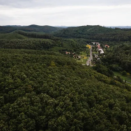 Videki Vendeghaz A Buekkben, Pezsgofuerdovel. * Királd